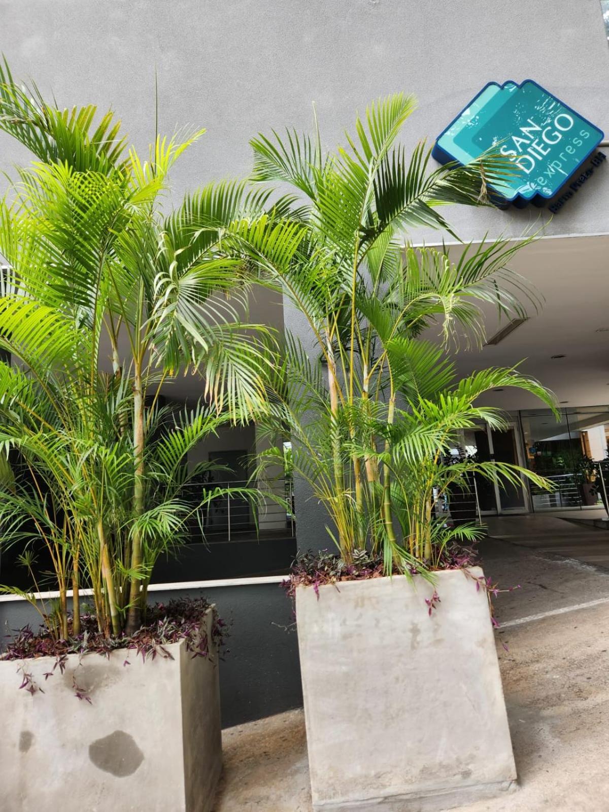 San Diego Express Barro Preto Belo Horizonte Exterior photo